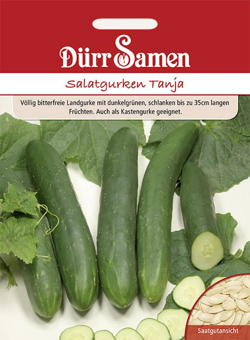 Salatgurke Tanja Saatgut