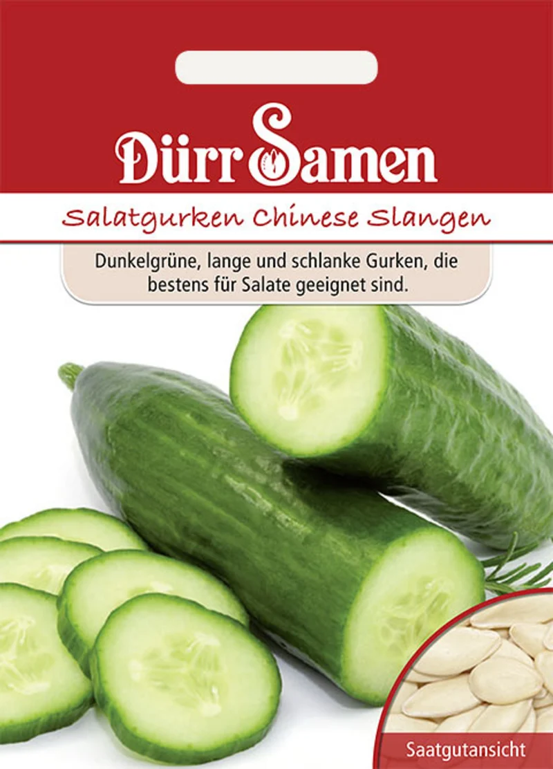 Salatgurke Chinese Slangen Saatgut