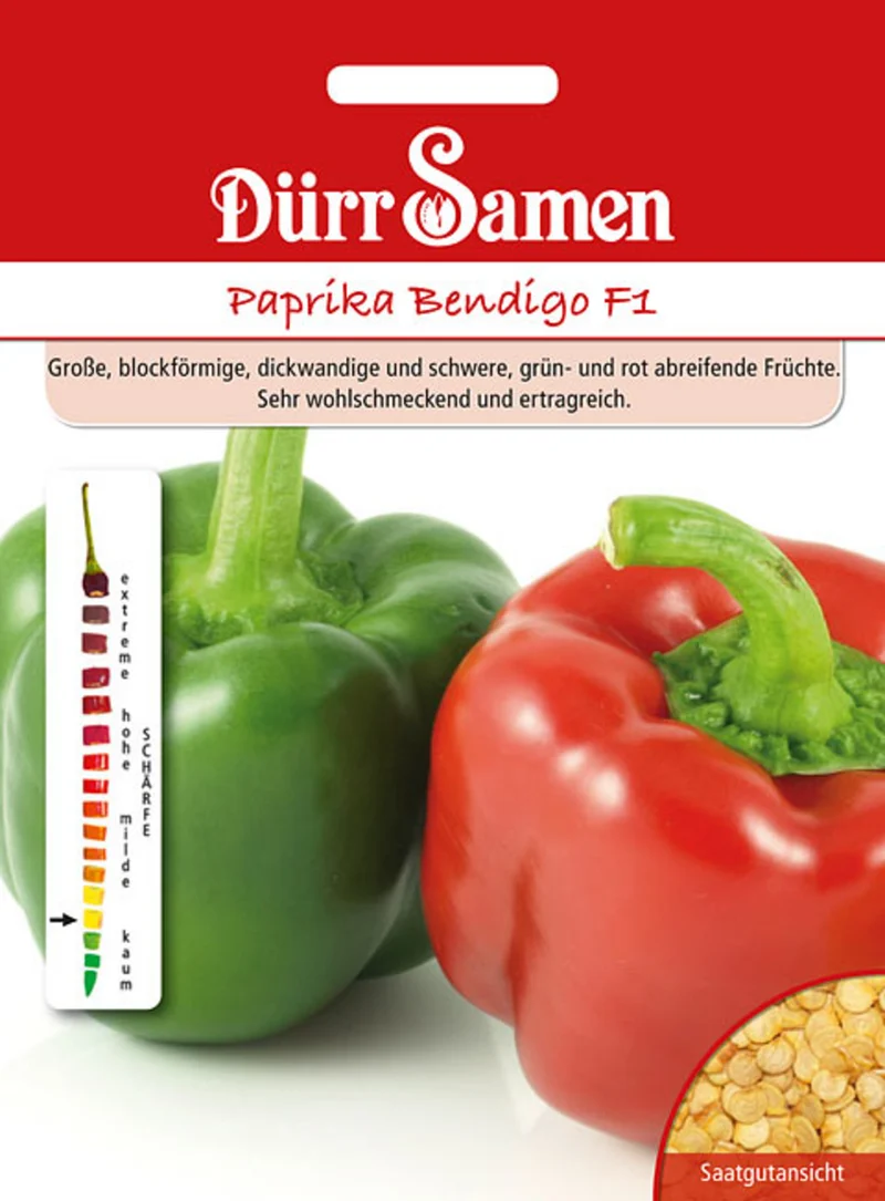 Paprika Bendigo F1 Saatgut
