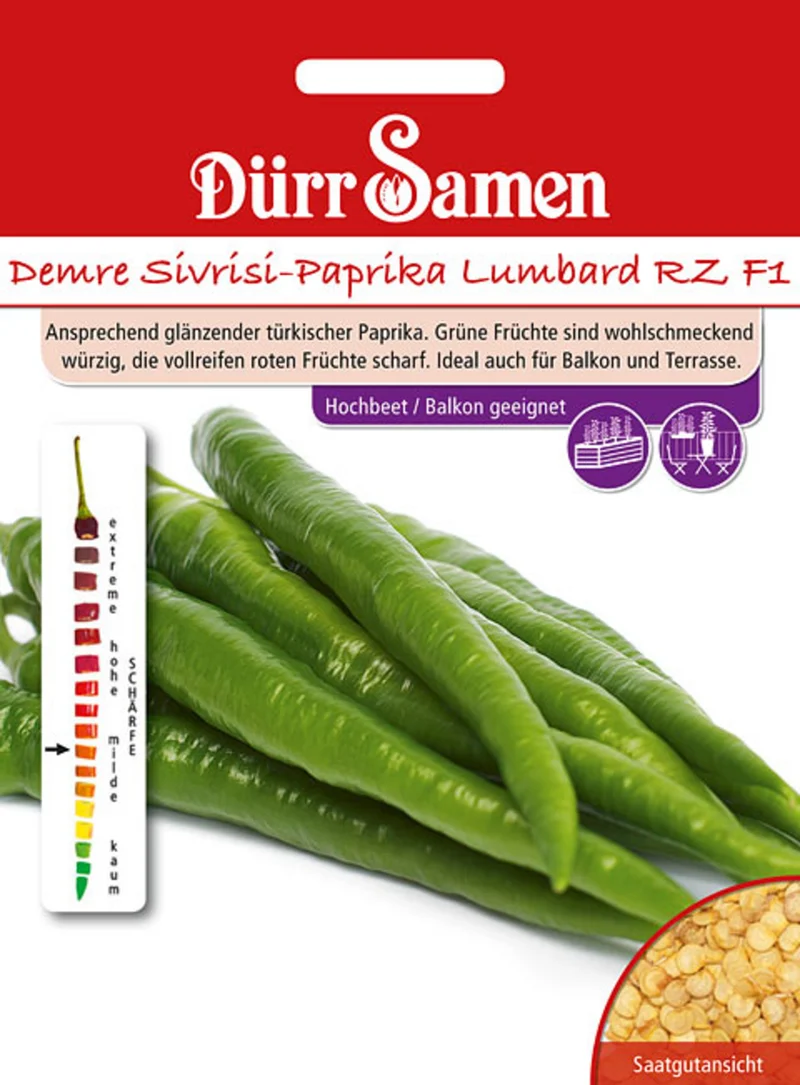Demre Sivrisi Paprika Lumbard RZ F1 Saatgut