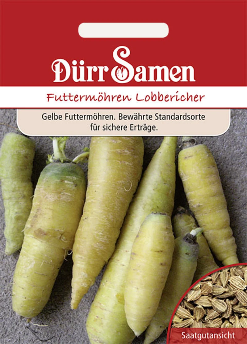 Futtermöhre Lobbericher Saatgut