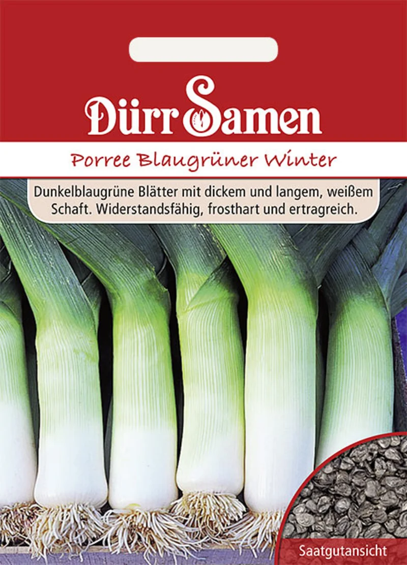 Lauch Blaugrüner Winter Saatgut