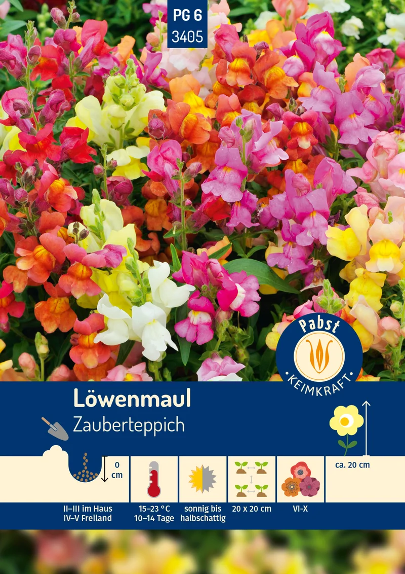 Löwenmaul Zauberteppich Saatgut