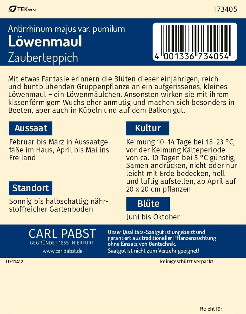 Löwenmaul Zauberteppich Saatgut