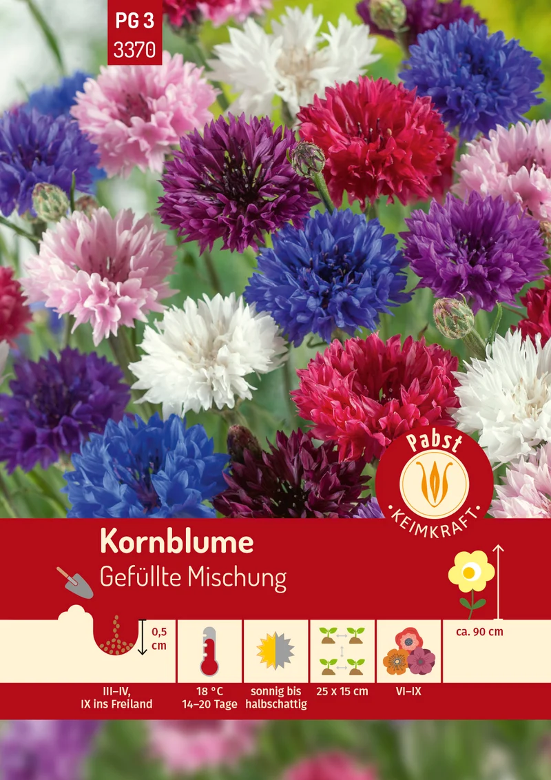 Kornblume Gefüllte Mischung Saatgut