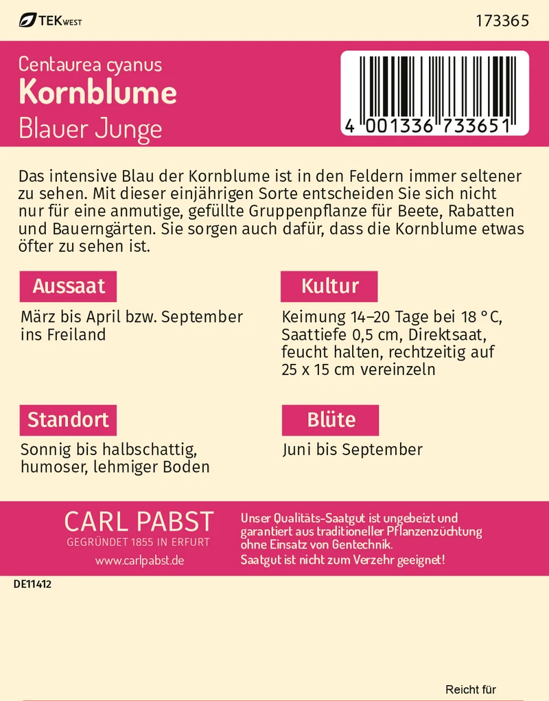 Kornblume Blauer Junge Saatgut