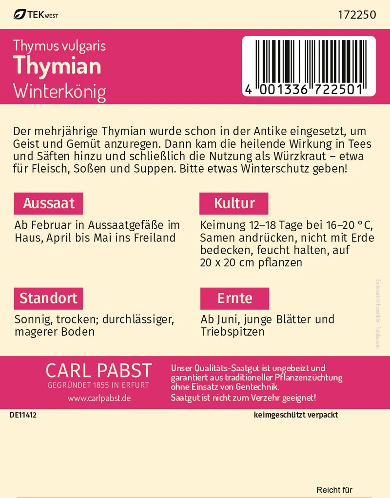 Thymian Winterkönig Saatgut