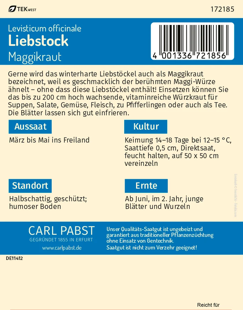 Liebstock Maggikraut Saatgut