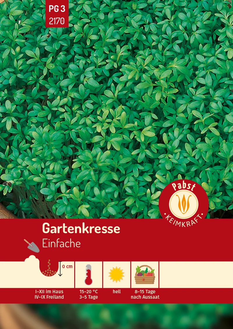 Gartenkresse Einfache Saatgut