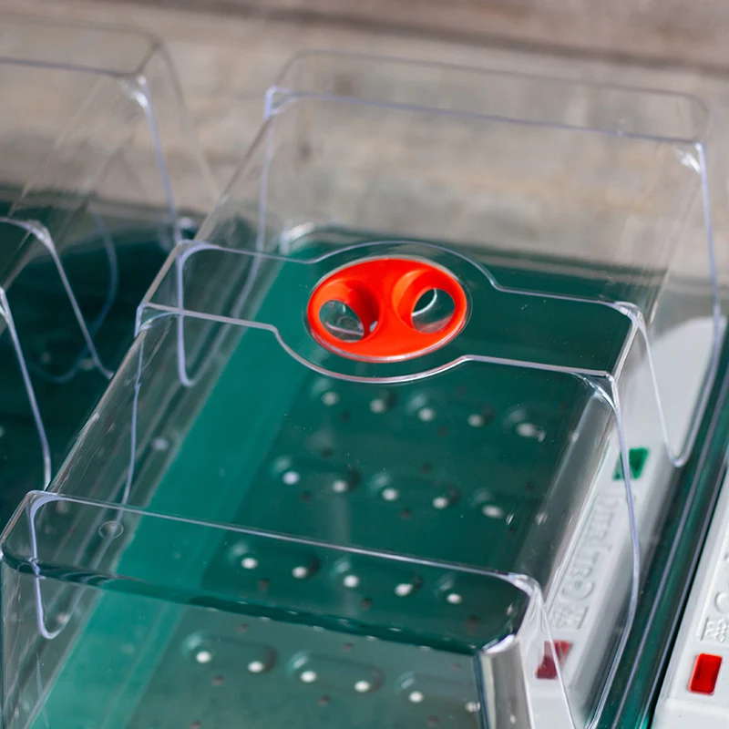 Electric Big 3 Propagator - Garland Products