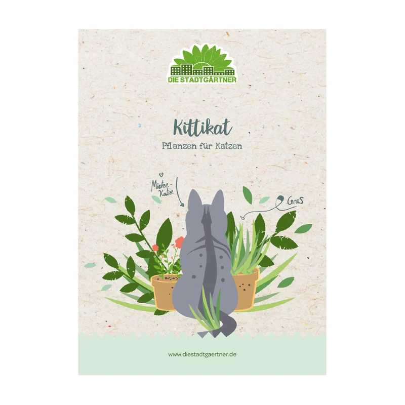 Kräuterkiste "Kittikat"