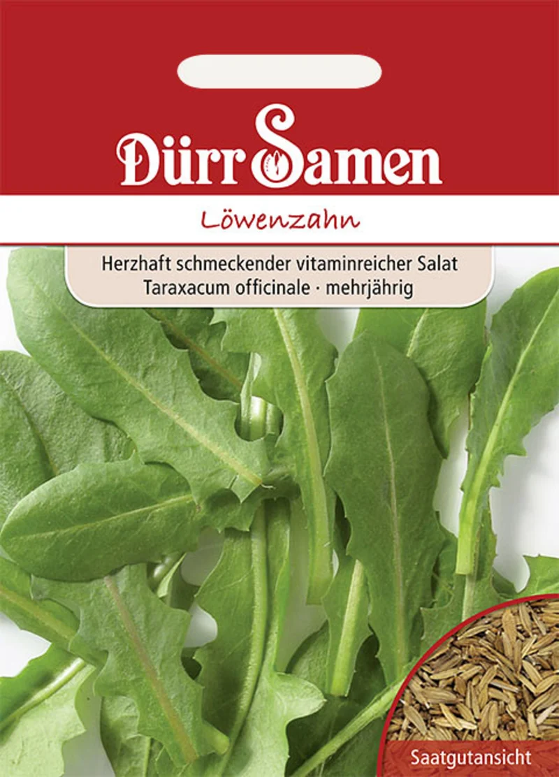 Löwenzahn Saatgut