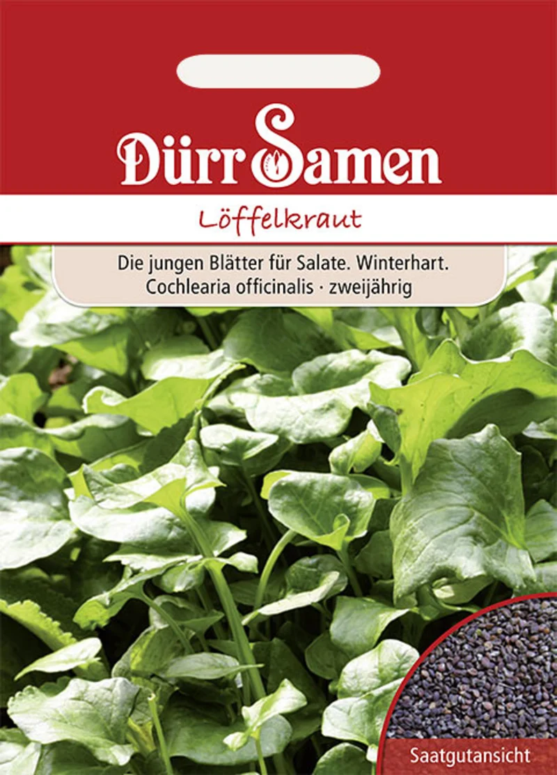 Löffelkraut Saatgut