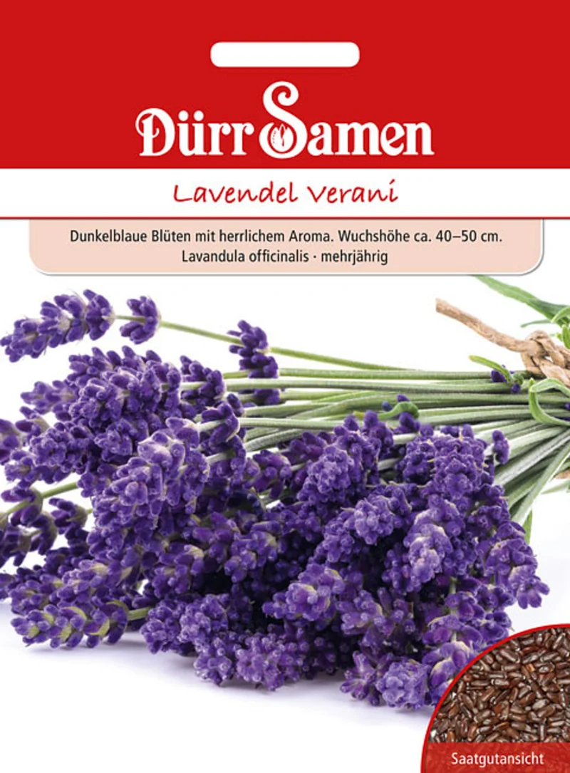 Lavendel Verani Saatgut