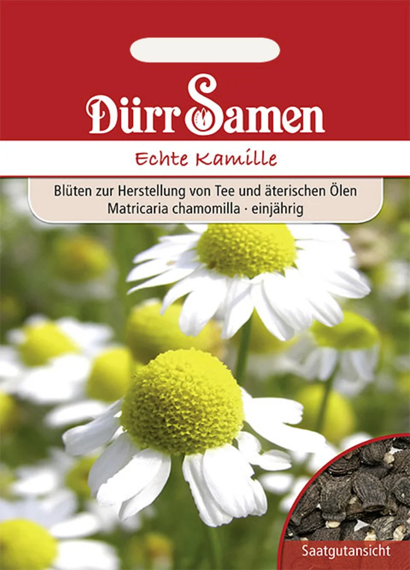 Kamille Echte Saatgut