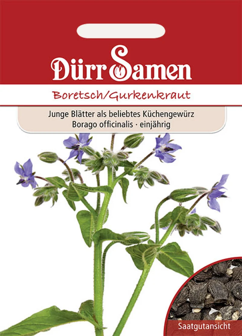 Boretsch Gurkenkraut Saatgut