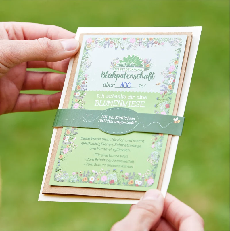 Blühpatenschaft für 100 m² Blumenwiese