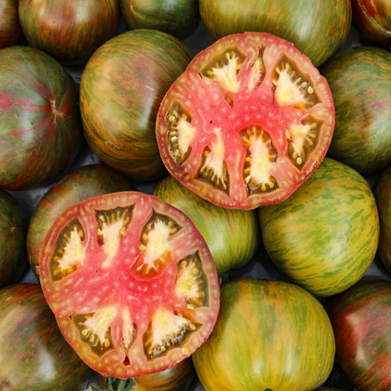 Tomate - Cassio
