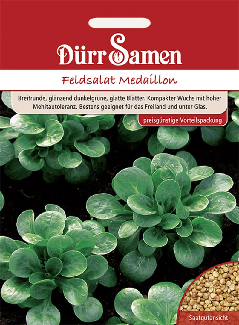 Feldsalat Medaillon Saatgut