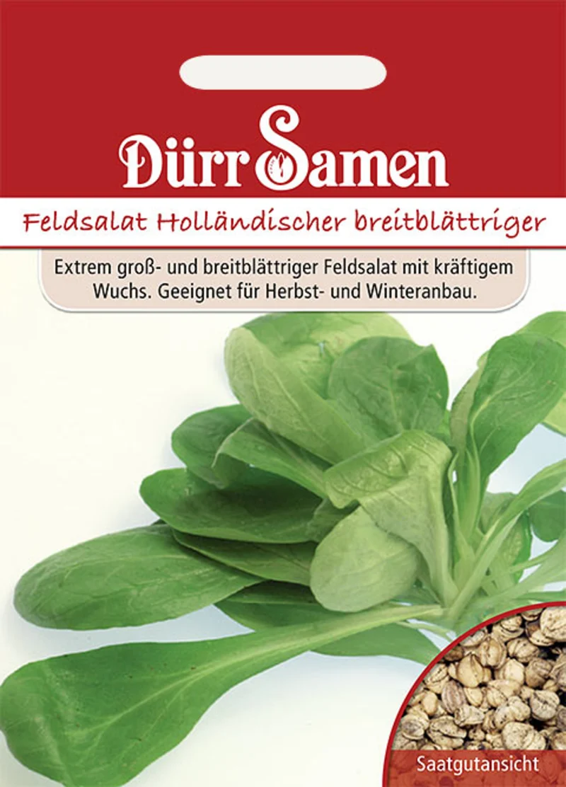 Feldsalat Holländer Saatgut