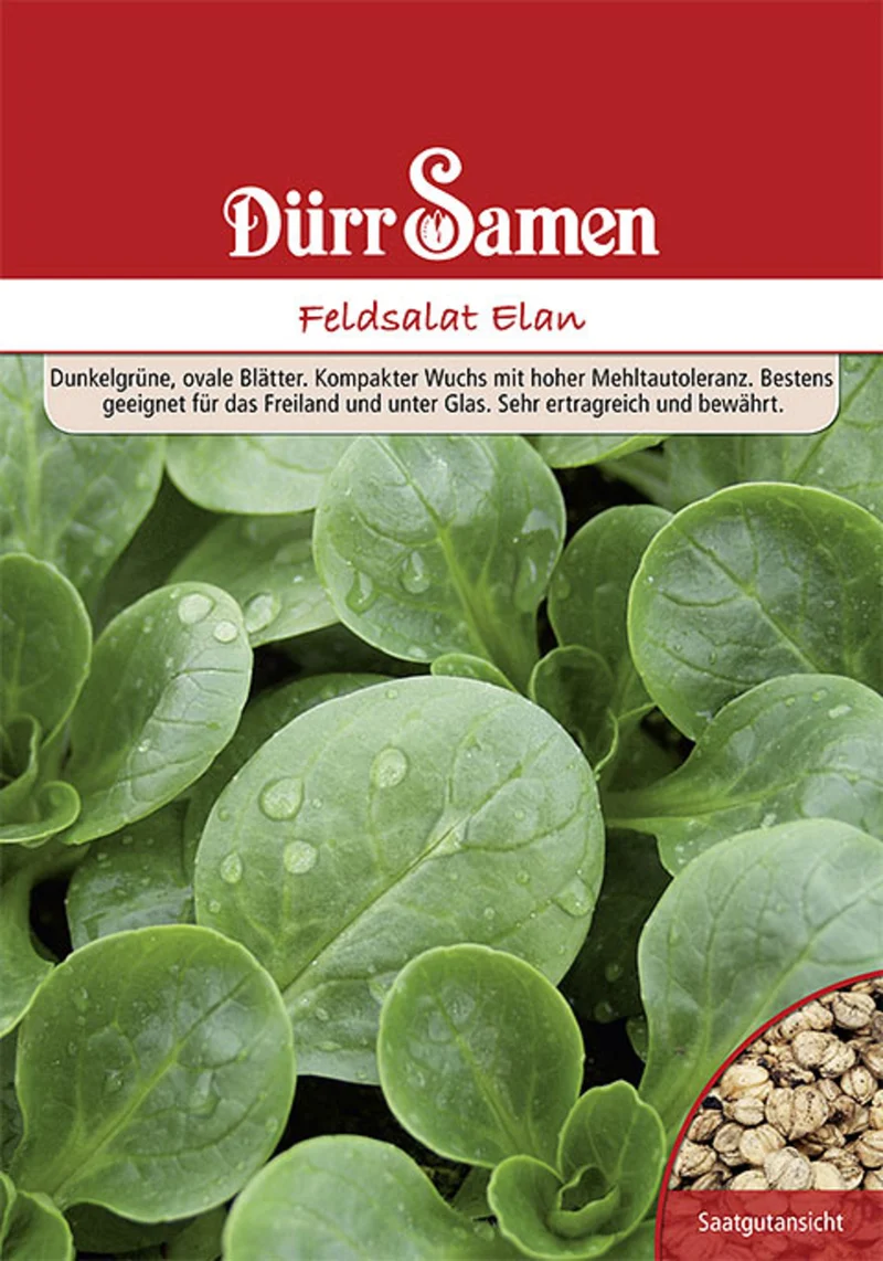 Feldsalat Elan 250 g Saatgut