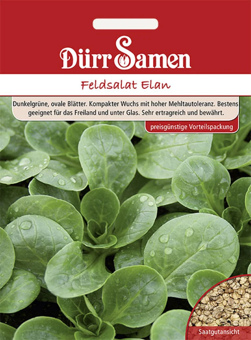 Feldsalat Elan 17500 Korn Saatgut