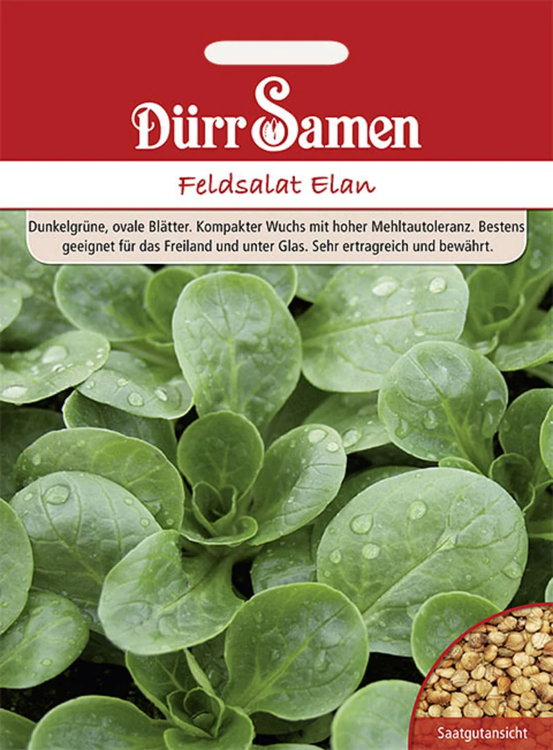 Feldsalat Elan Saatgut