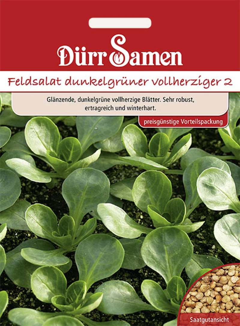 Feldsalat Dunkelgrüner vollherziger 17500 Korn Saatgut