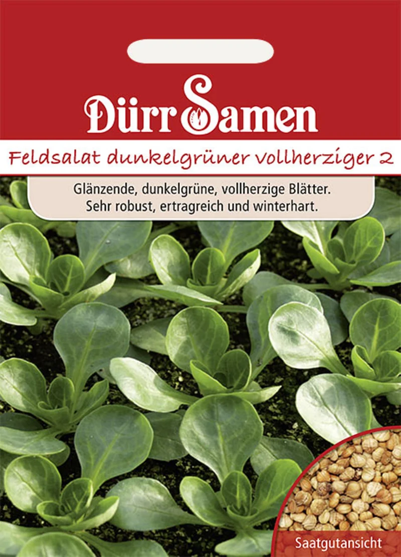Feldsalat Dunkelgrüner vollherziger Saatgut