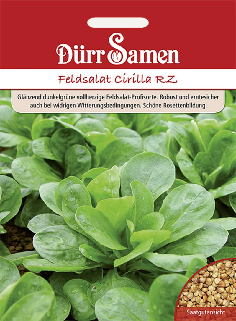 Feldsalat Cirilla RZ Saatgut