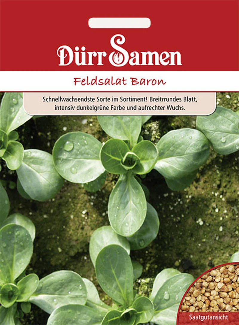 Feldsalat Baron Saatgut