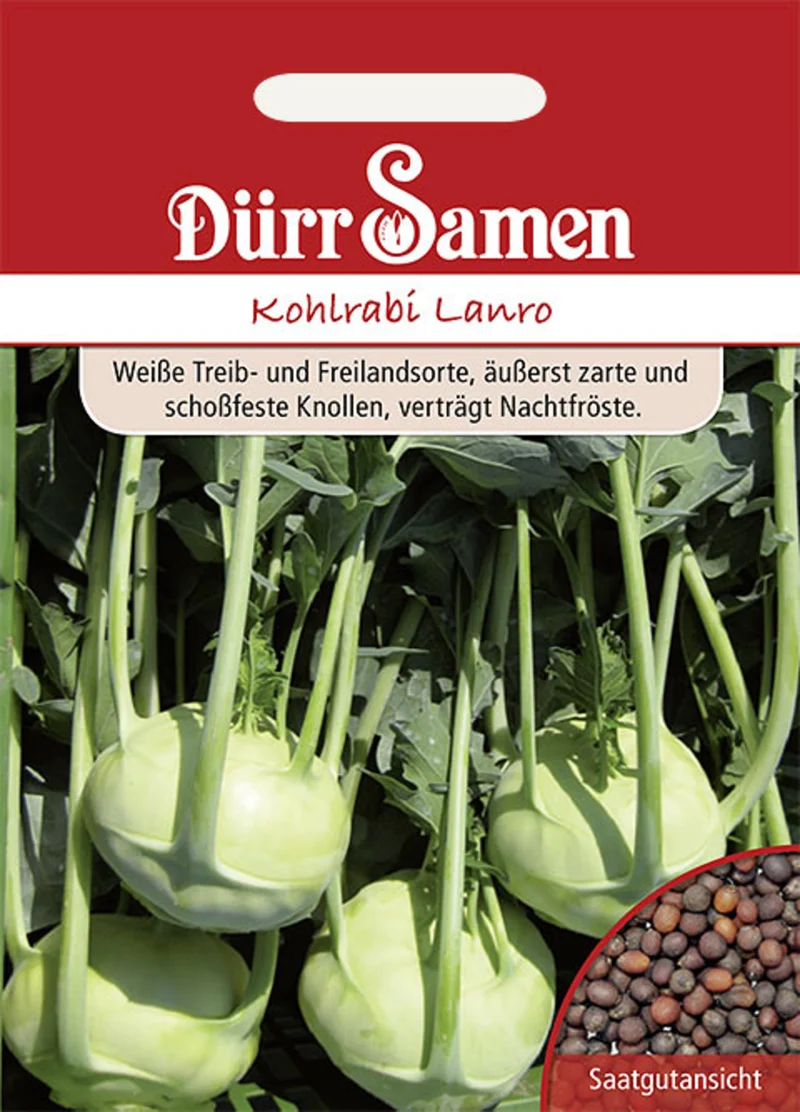 Kohlrabi Lanro Saatgut