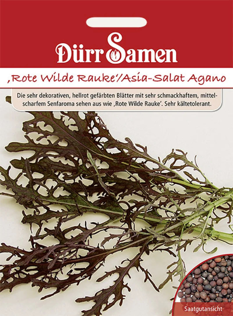 Rote Wilde Rauke Asia Salat Agano Saatgut
