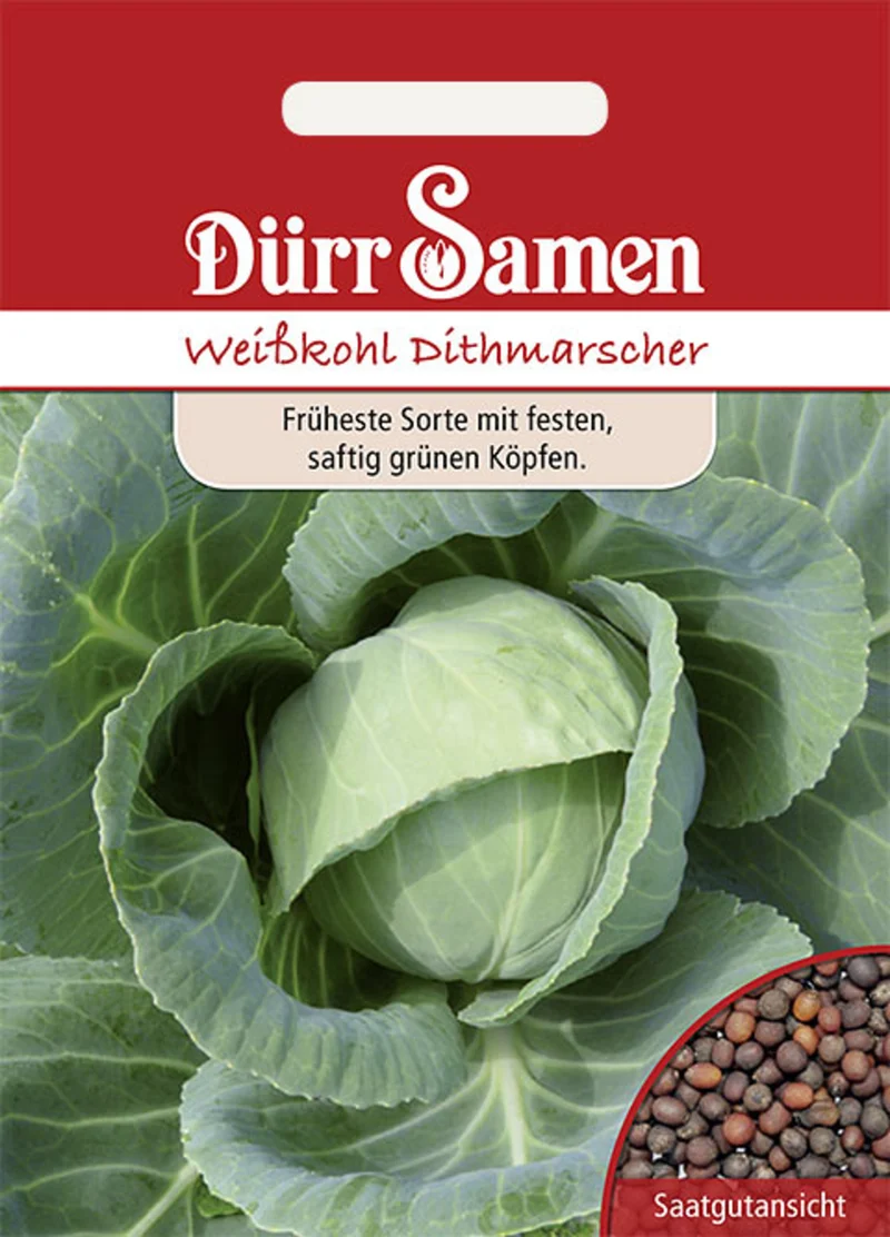 Weißkohl Dithmarscher Saatgut