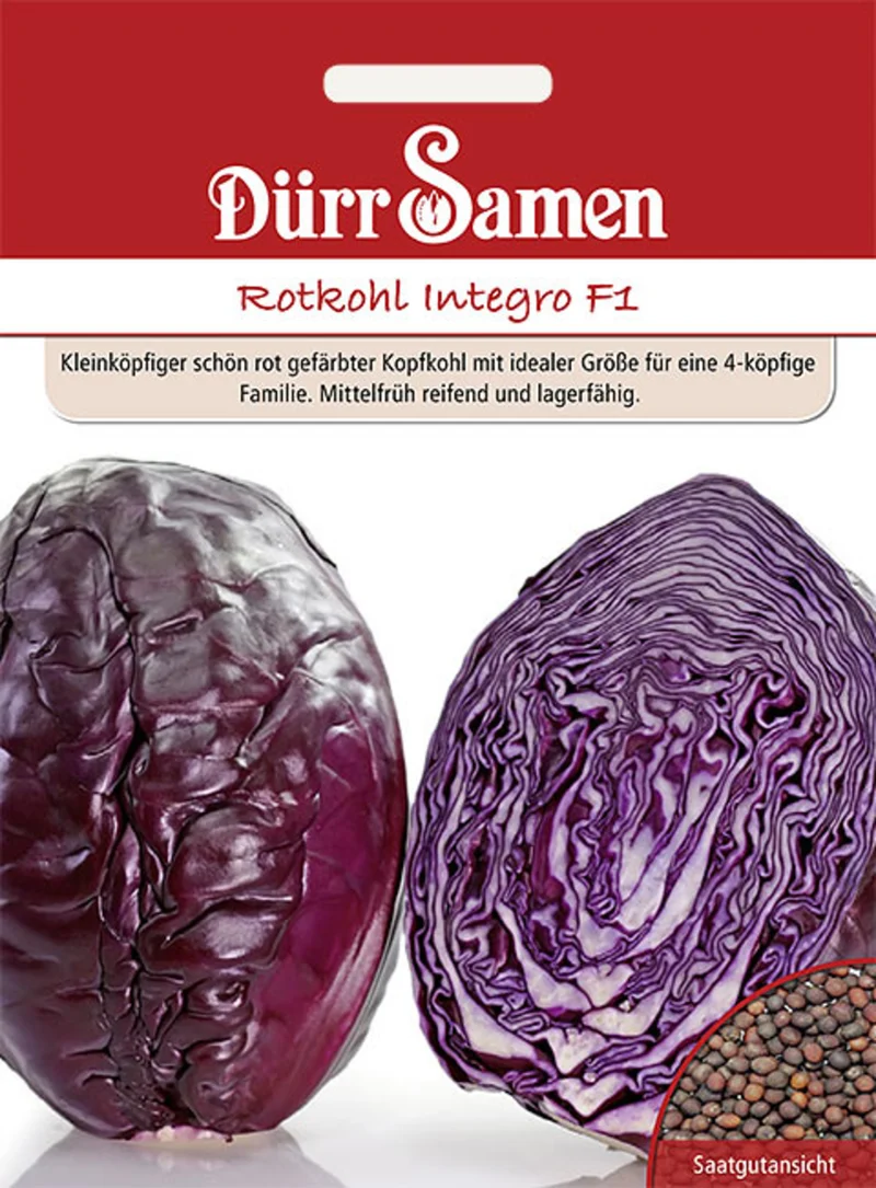 Rotkohl Integro F1 Saatgut