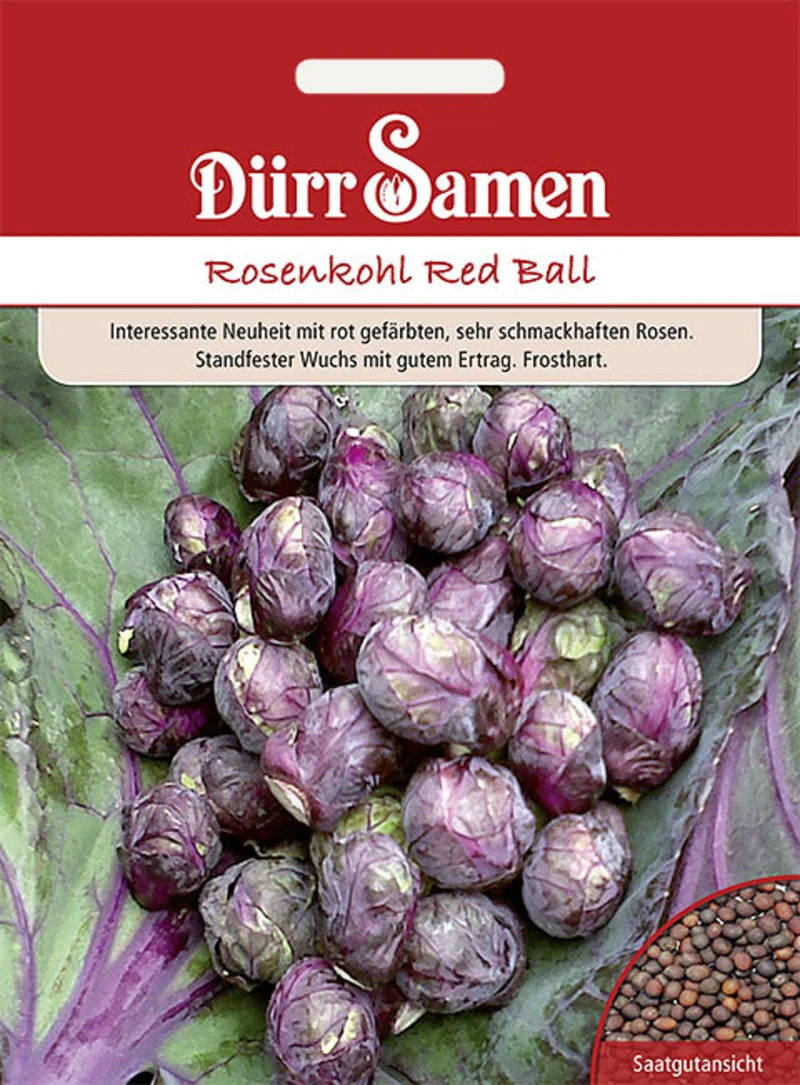 Rosenkohl Red Ball Saatgut
