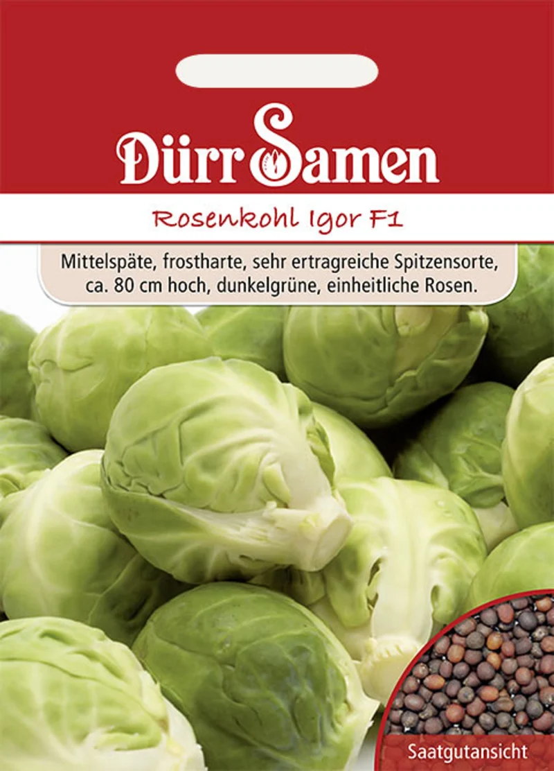 Rosenkohl Igor F1 Saatgut