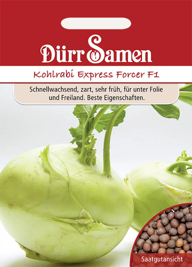 Kohlrabi Express Forcer F1 Saatgut