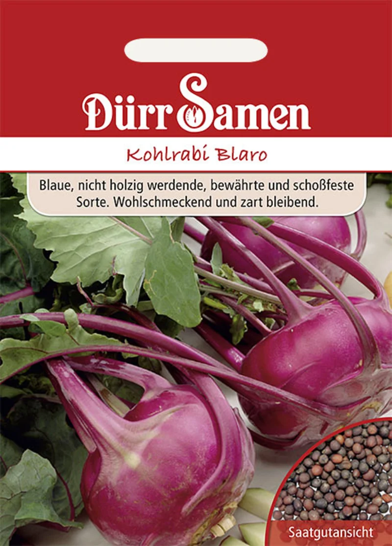 Kohlrabi Blaro Saatgut