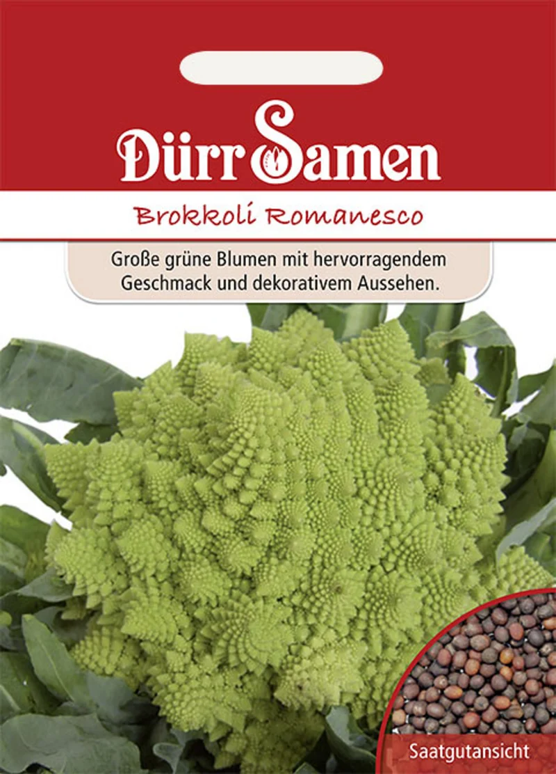 Brokkoli Romanesco Saatgut