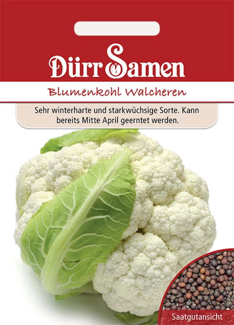 Blumenkohl Walcheren Saatgut