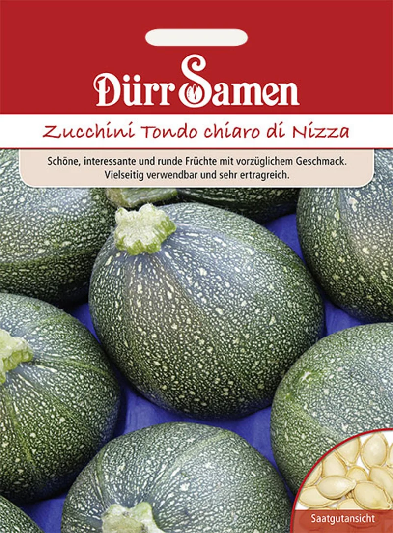 Zucchini Tondo chiaro di Nizza Saatgut