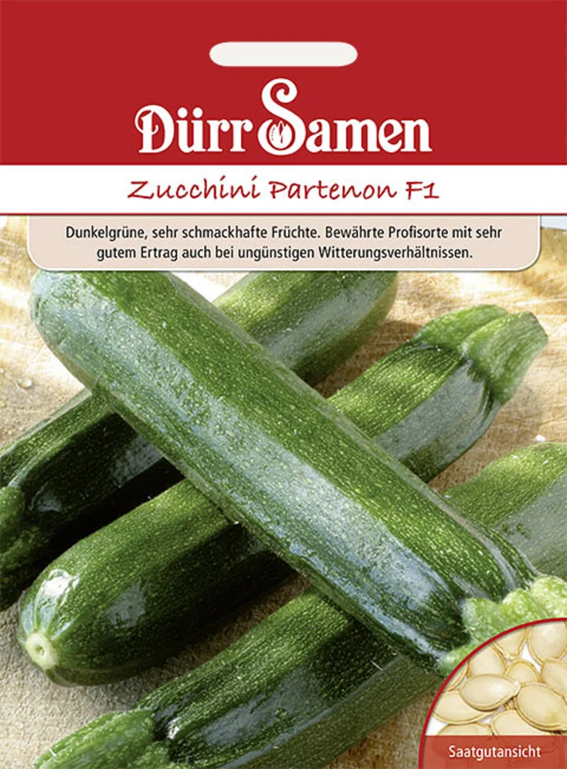 Zucchini Partenon F1 Saatgut