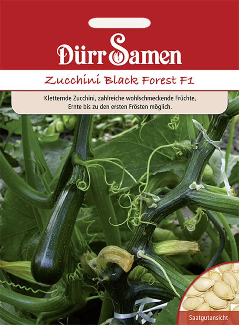 Zucchini Black Forest F1 Saatgut