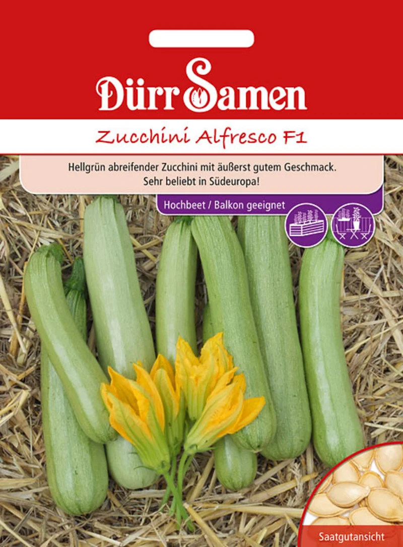 Zucchini Alfresco F1 Saatgut