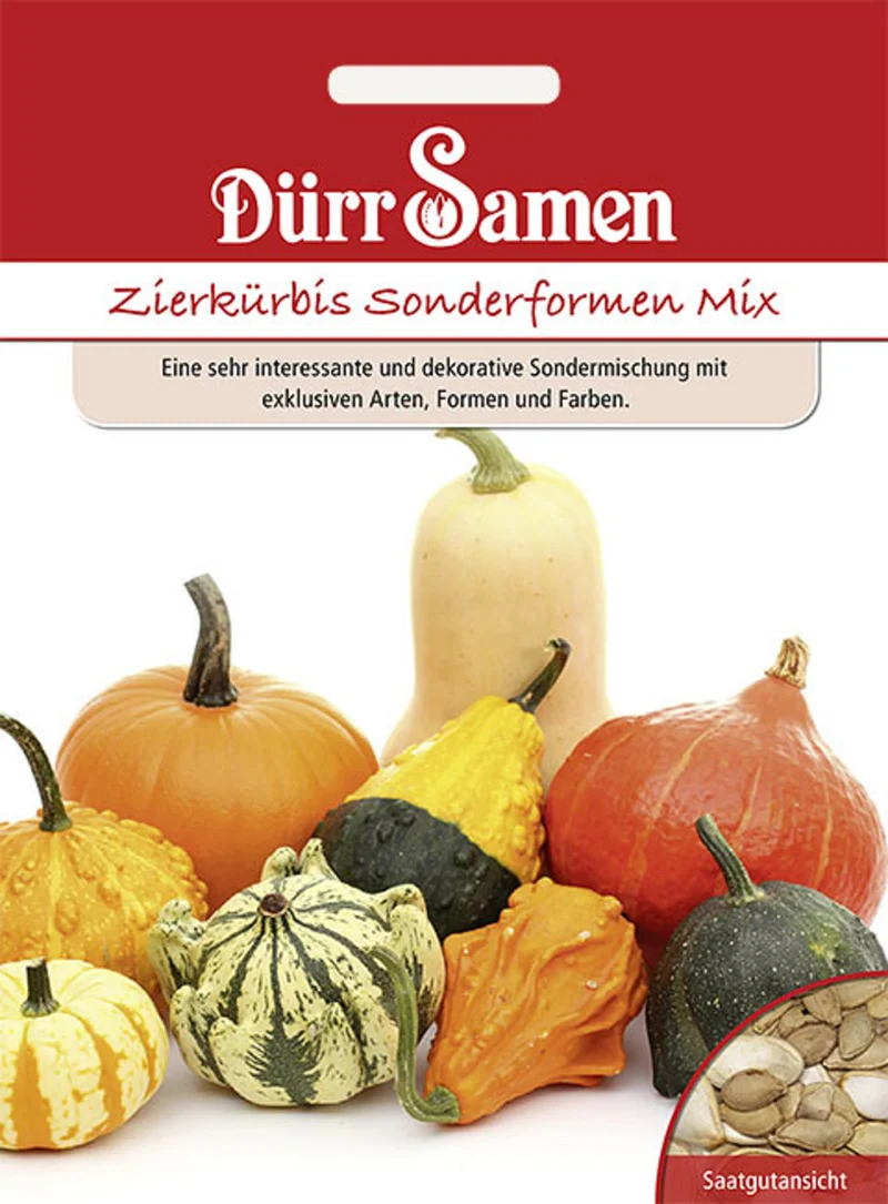 Zierkürbis Sonderformen Saatgut