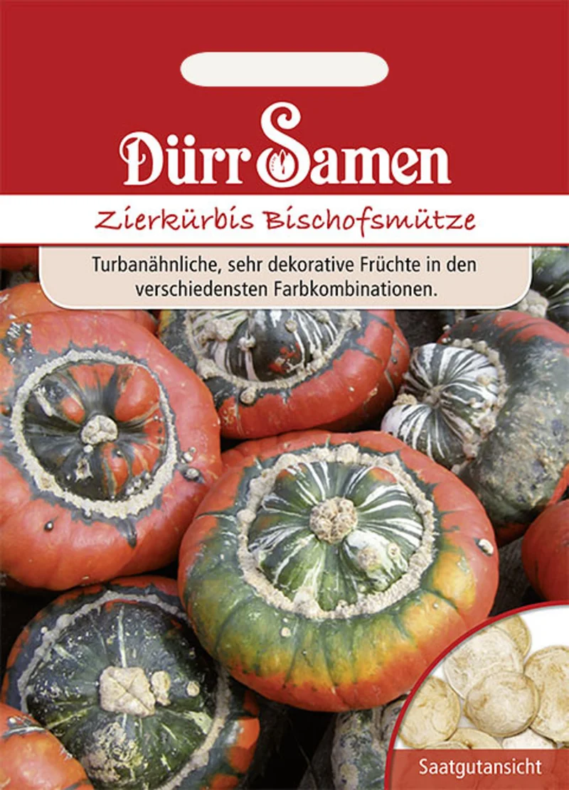 Zierkürbis Bischofsmütze Saatgut