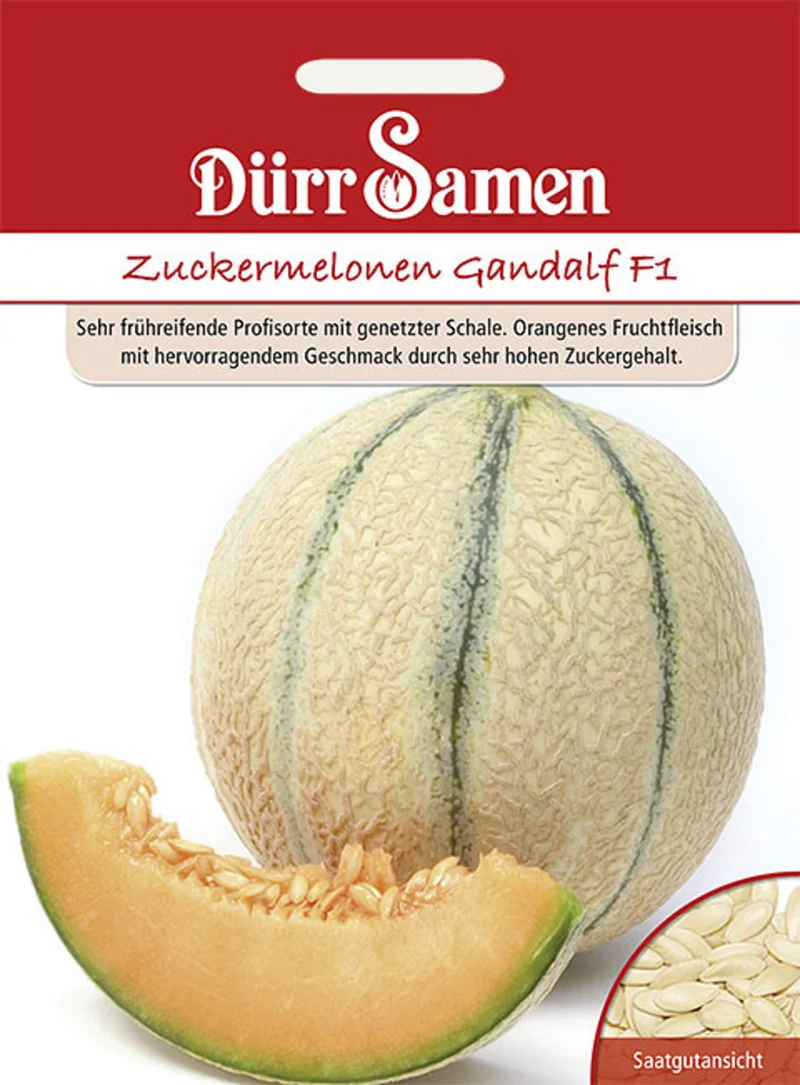 Zuckermelone Gandalf F1 Saatgut