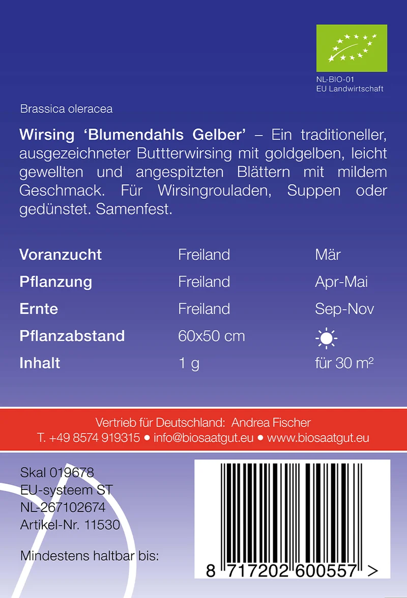 Wirsing Blumendahls | BIO Wirsingsamen von De Bolster [MHD 12/2024]