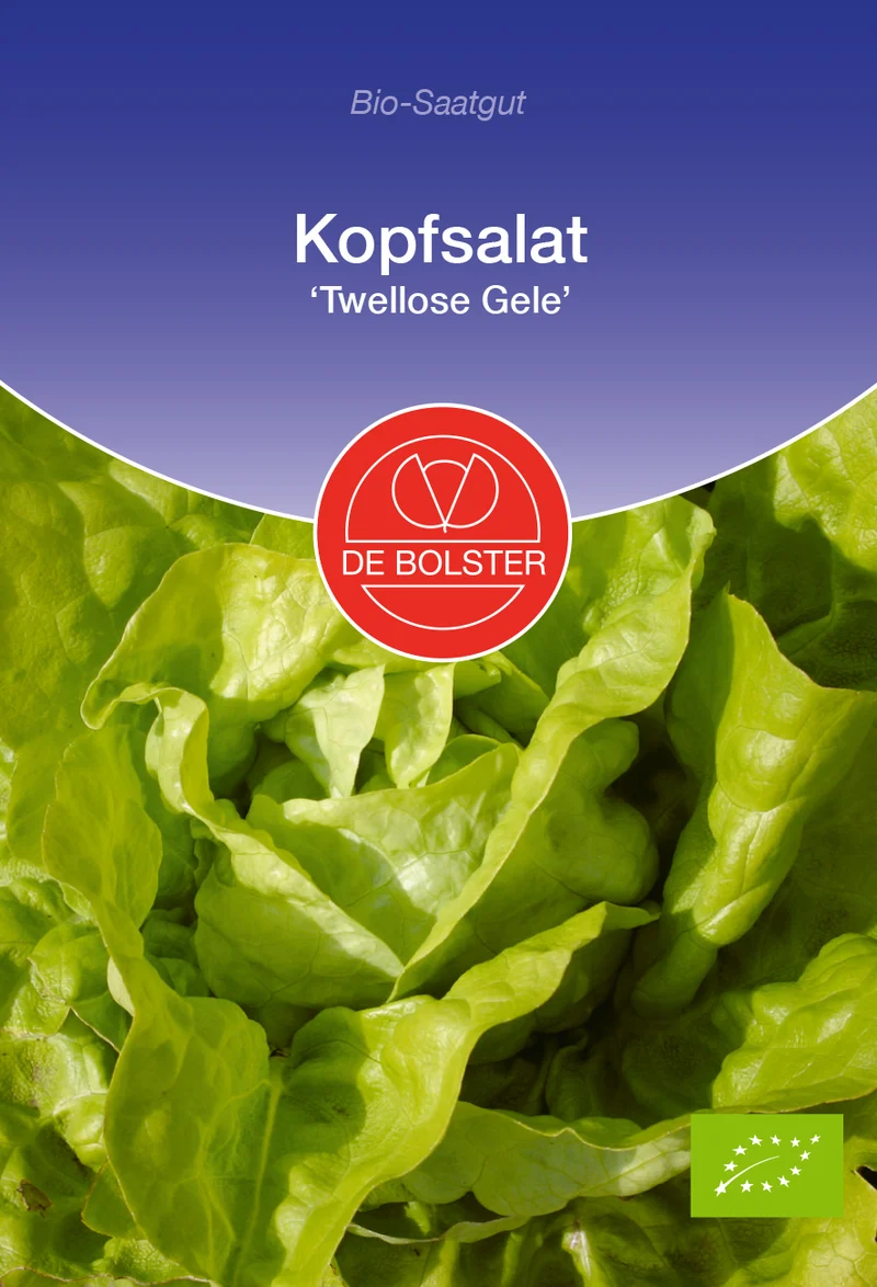 Kopfsalat Twellose Gele | BIO Kopfsalatsamen von De Bolster [MHD 12/2023]